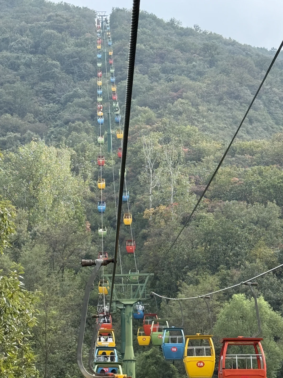 嵩山少林红叶🍁 太美啦！
