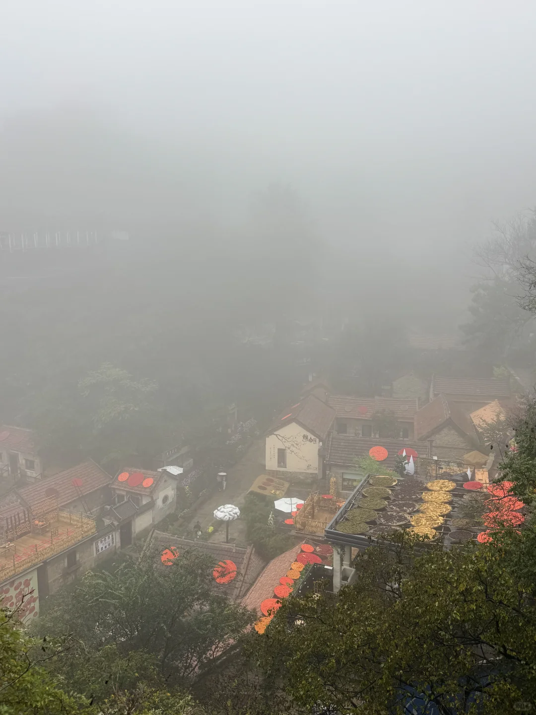 📍淄博红叶柿岩