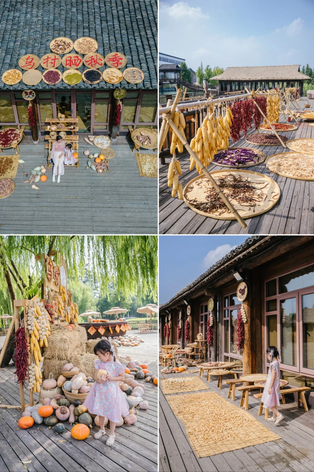 跟着《向往的生活》夜游乌镇❗照抄这条路线