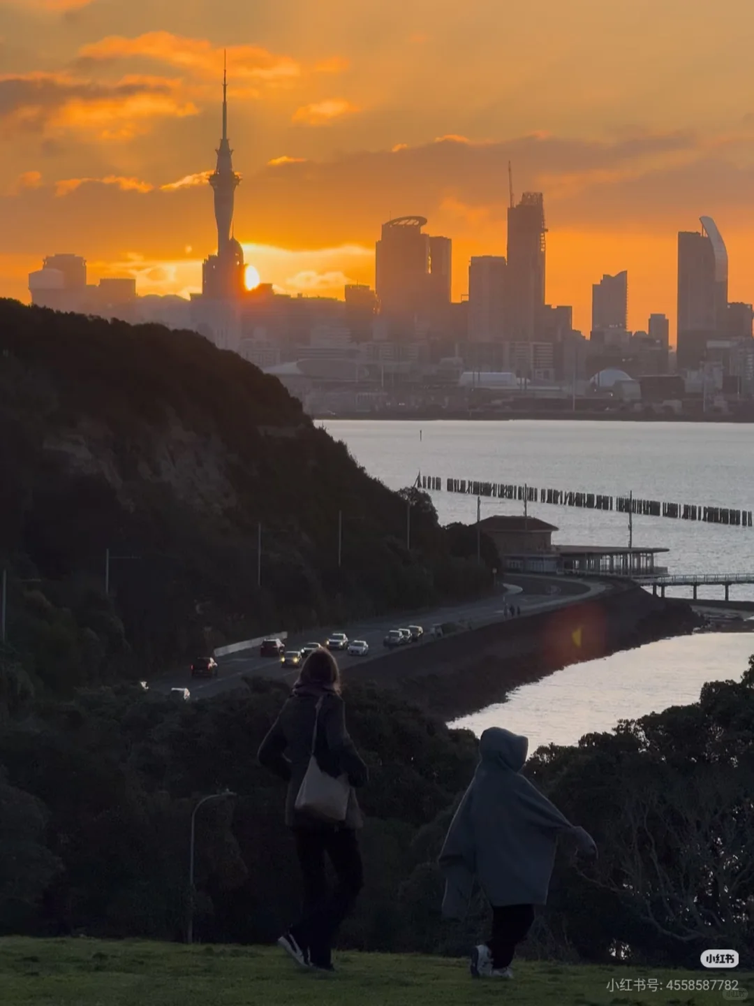 不开车也能去！奥克兰必去6大宝藏景点