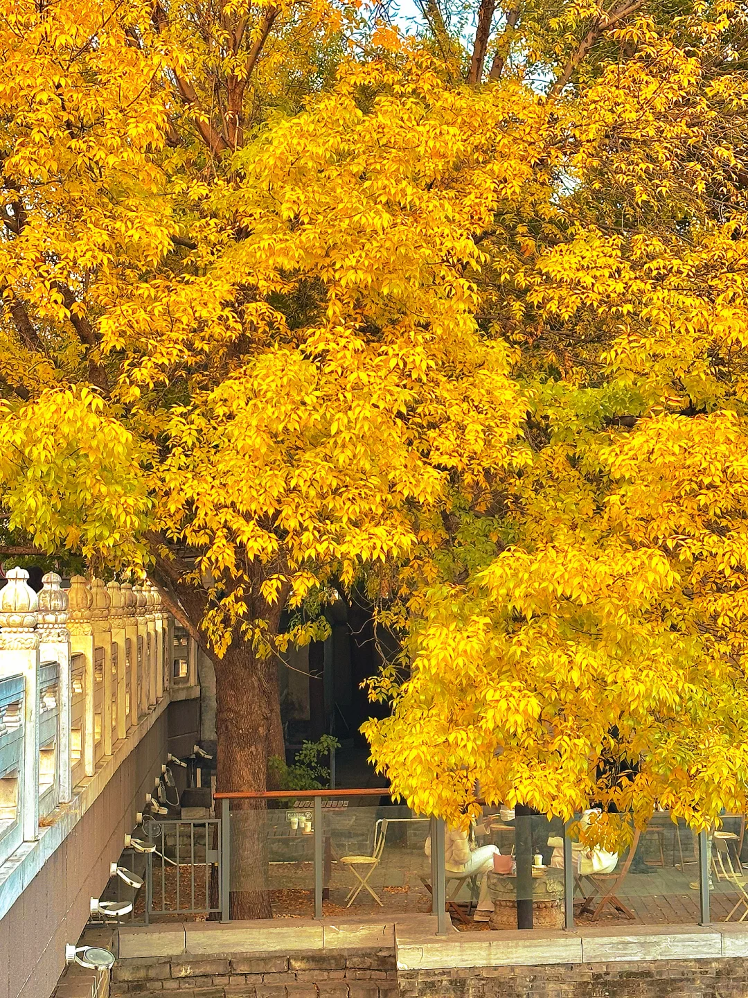 北平之秋已上线！北京必逛的8️⃣条赏秋路线！