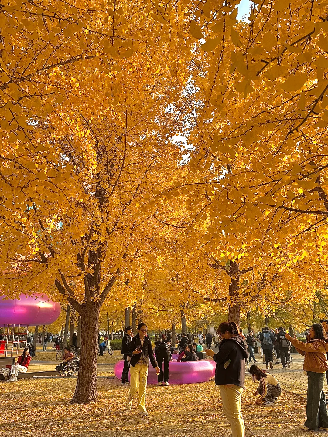 北平之秋已上线！北京必逛的8️⃣条赏秋路线！