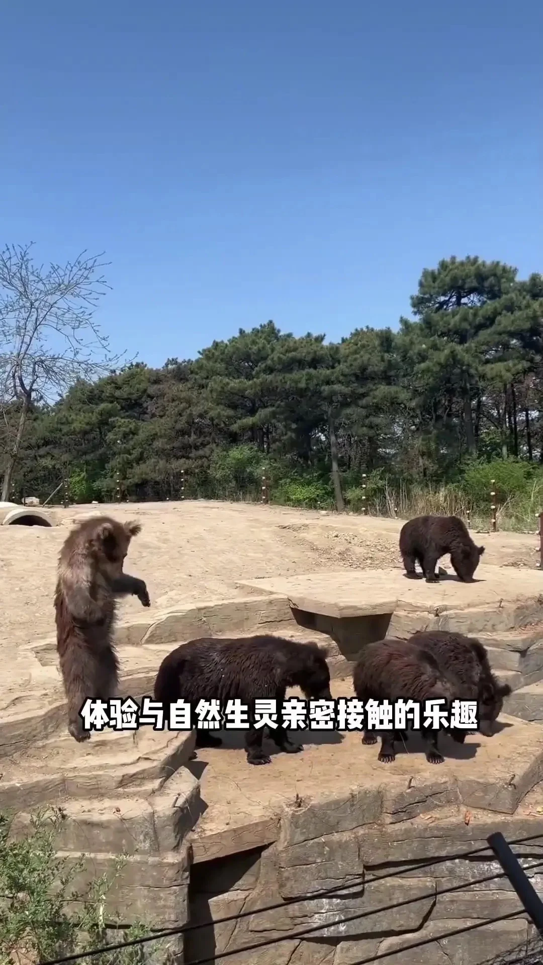 沈阳必打卡的九大景点！！