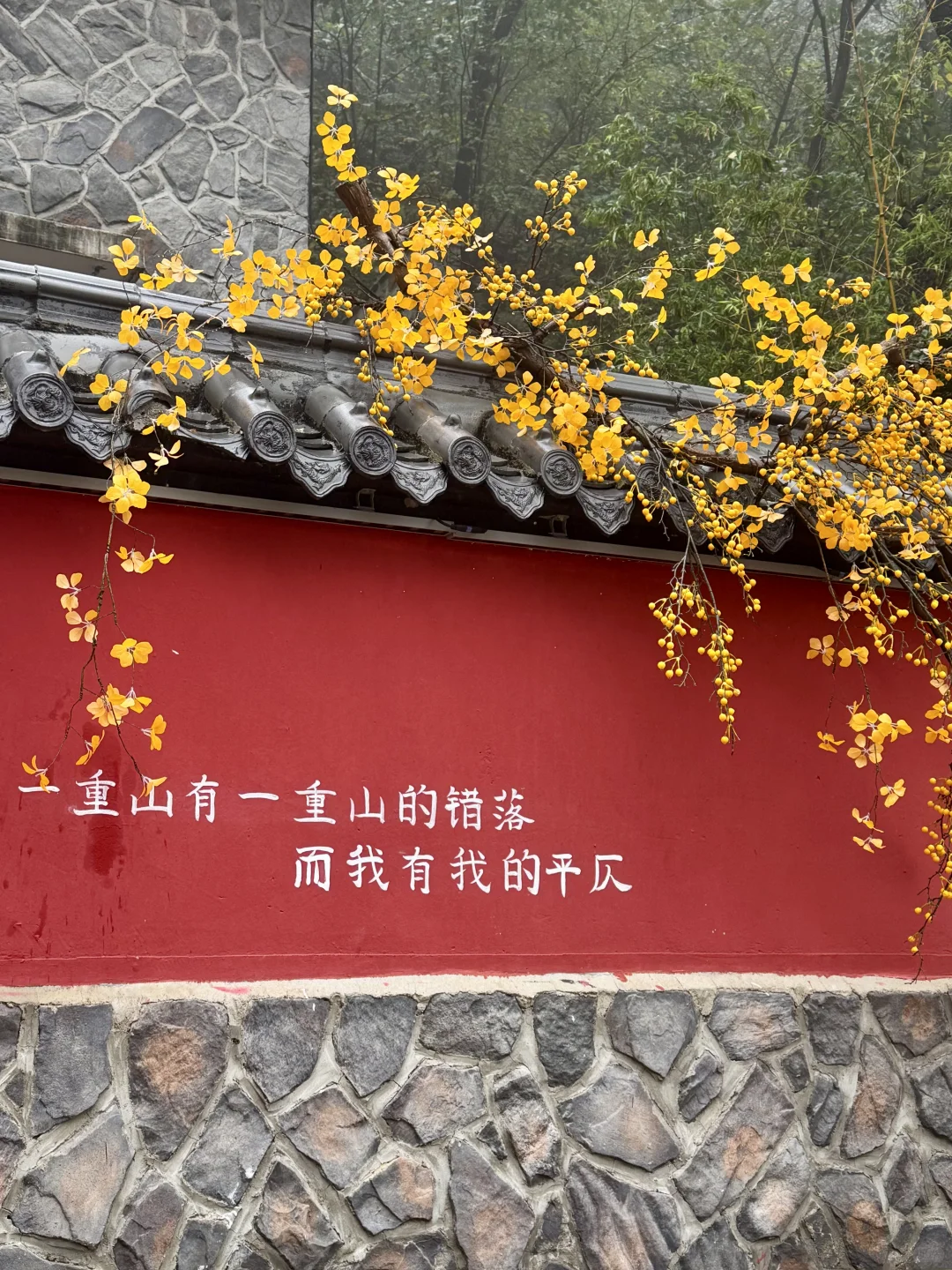 📍淄博红叶柿岩