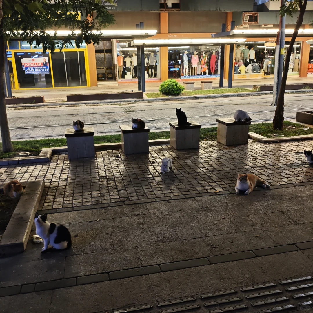 国外城市评价之🇹🇷安塔利亚