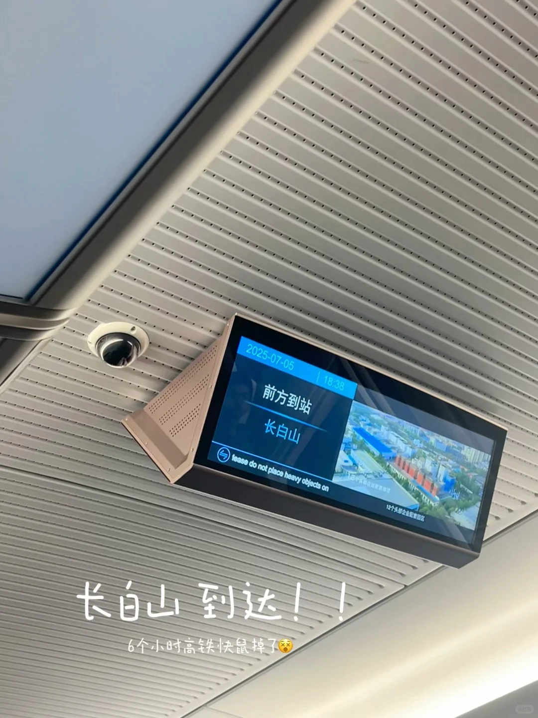准高一|暑假Gogogo……✈️
