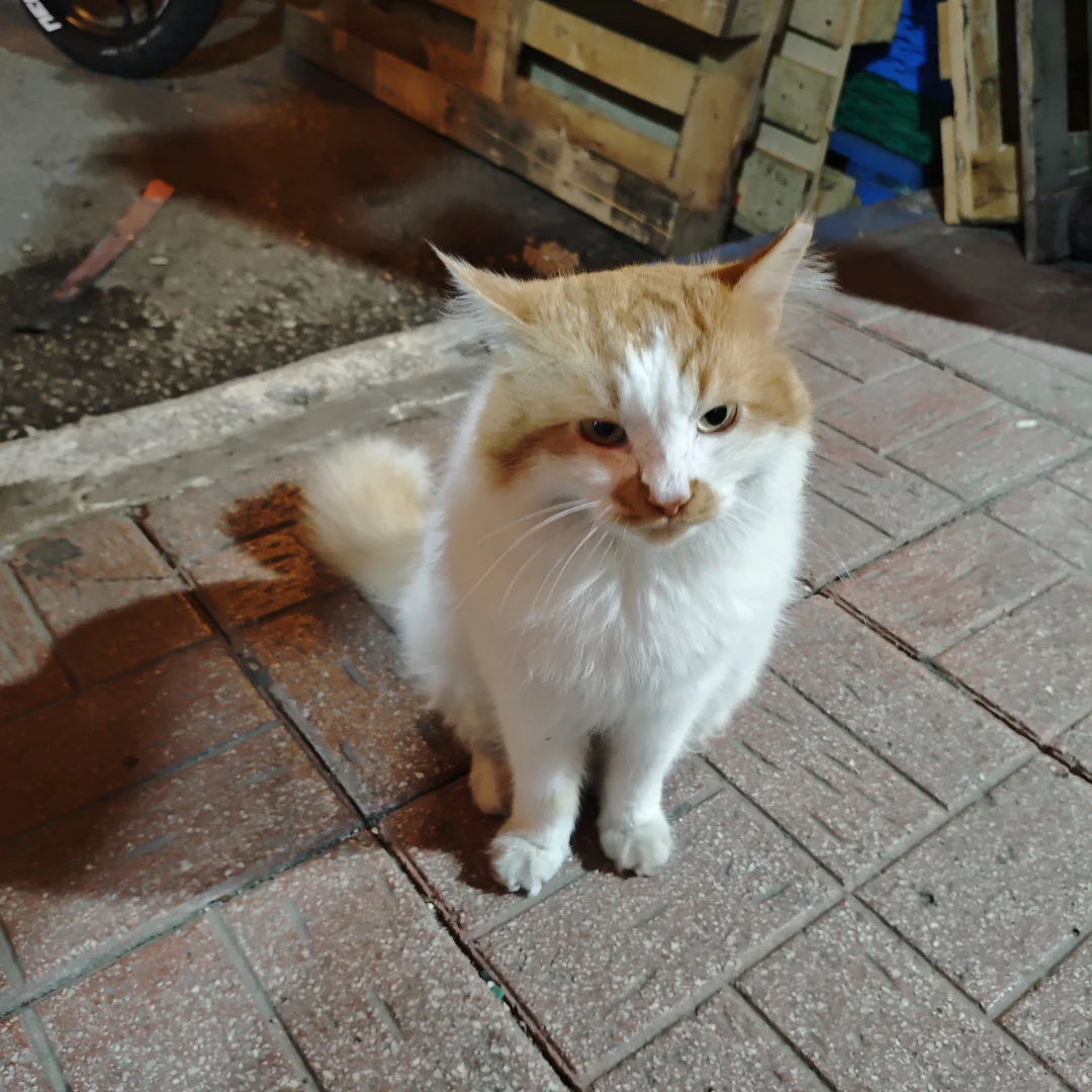 国外城市评价之🇹🇷安塔利亚