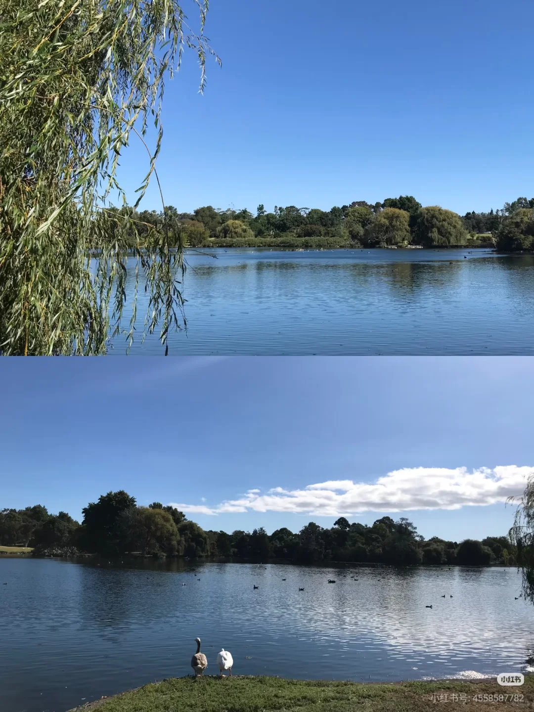 不开车也能去！奥克兰必去6大宝藏景点