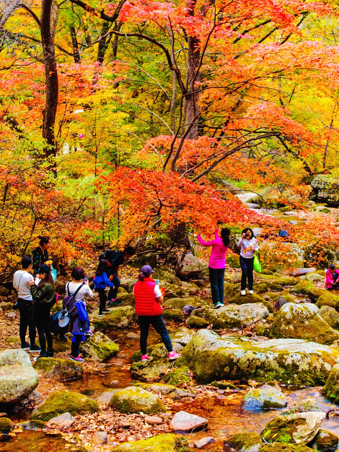 辽宁本溪：看见有人在拍照，原来这不是画