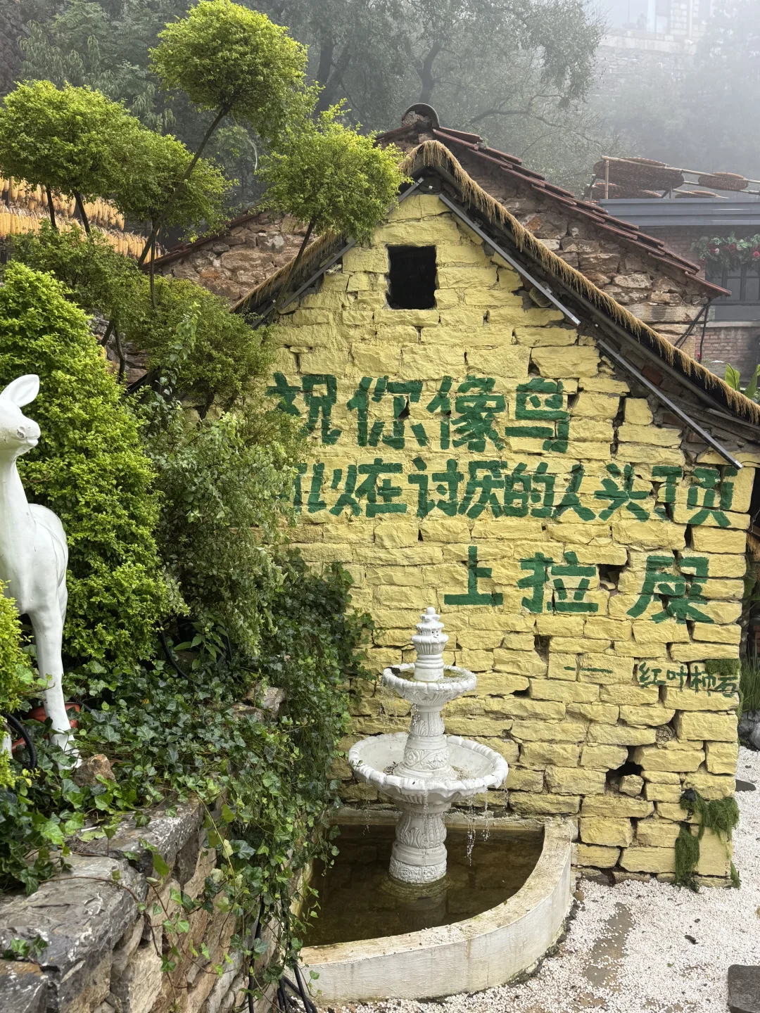 📍淄博红叶柿岩