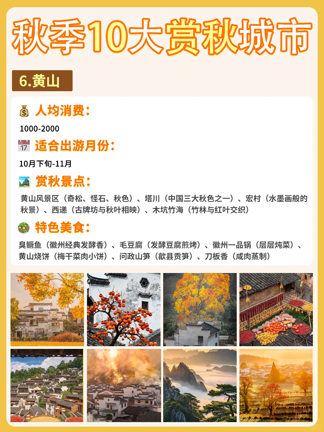 最适配江浙沪宝宝体质的赏秋城市合集来啦❗