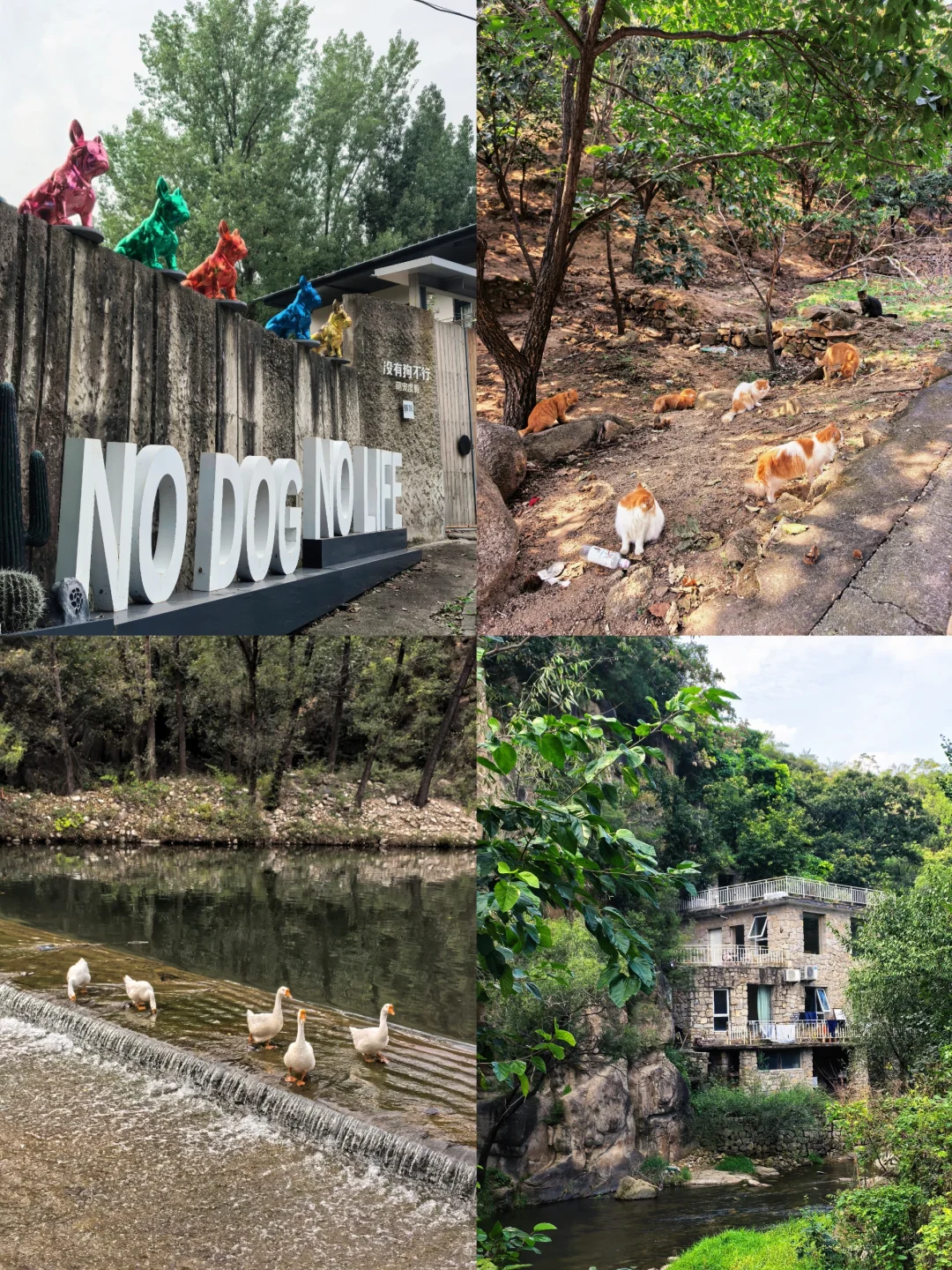 北京我最喜欢的免费玩水探洞栈道徒步路线！