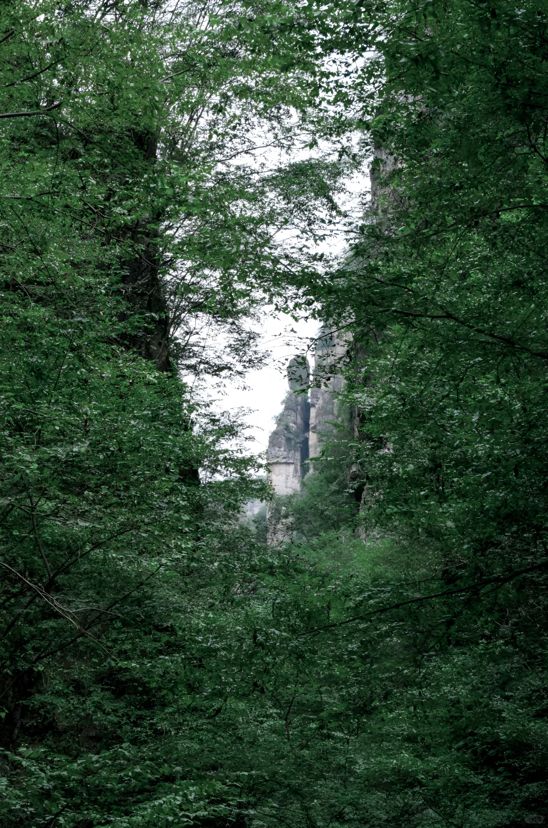 森林徒步+绝美峡谷，北方小桂林当之无愧