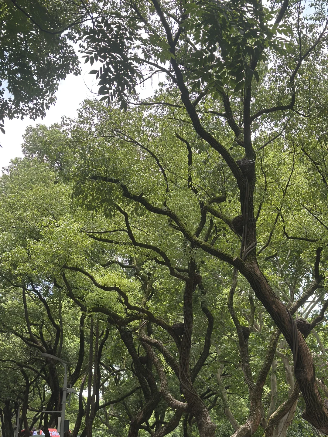 一个人旅行真的太棒了！