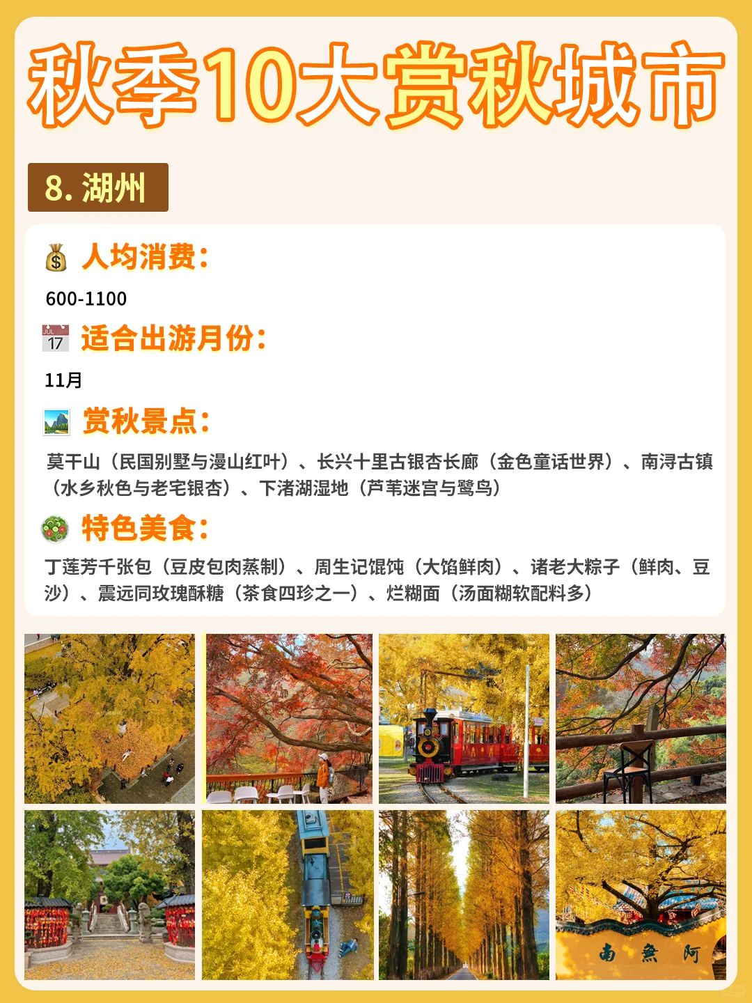 最适配江浙沪宝宝体质的赏秋城市合集来啦❗