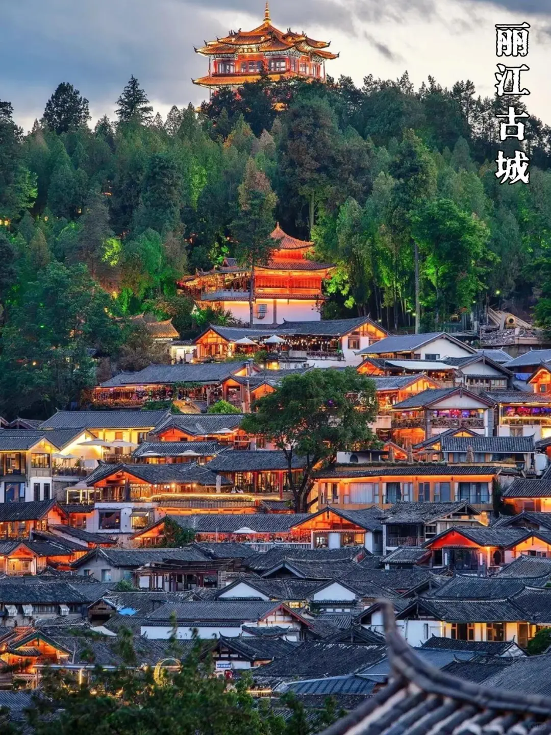 不敢相信❗去云南跟小团💯纯玩游太省心了