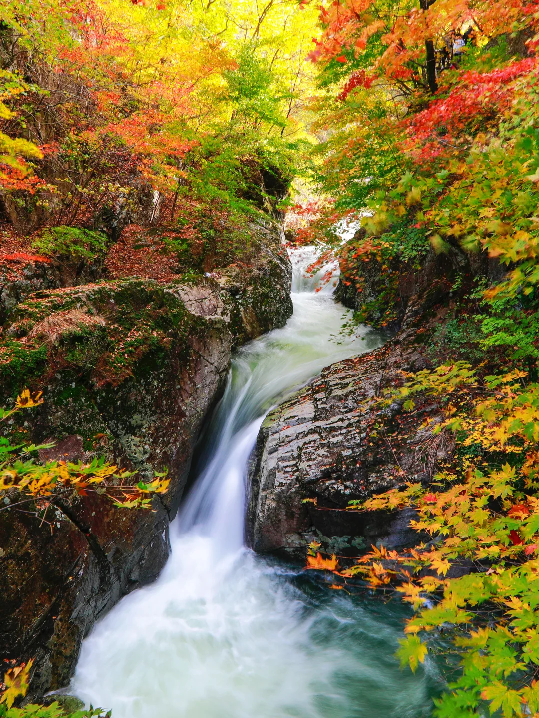 辽宁本溪：看见有人在拍照，原来这不是画