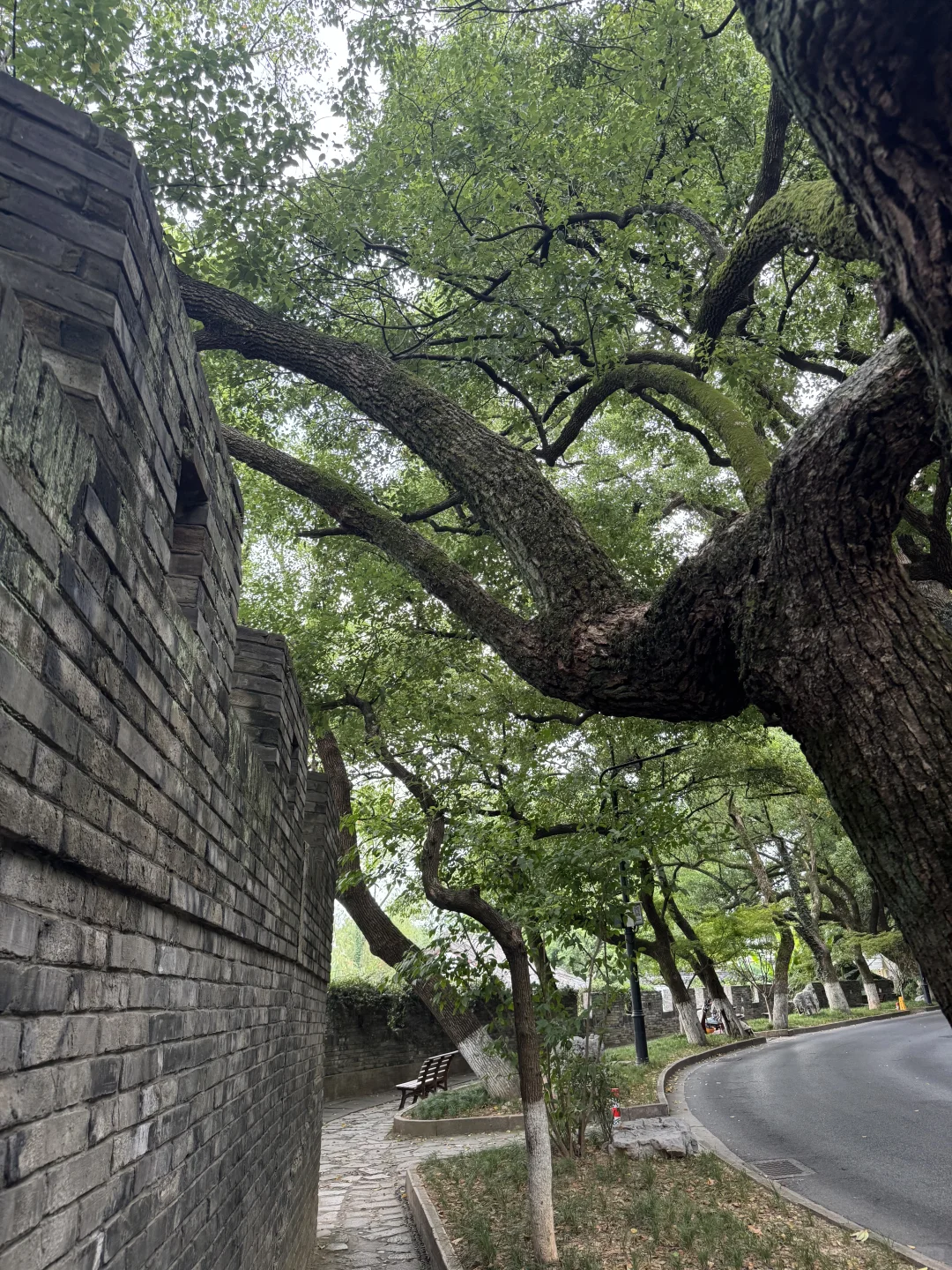我会为了这里再去一次绍兴,超惬意