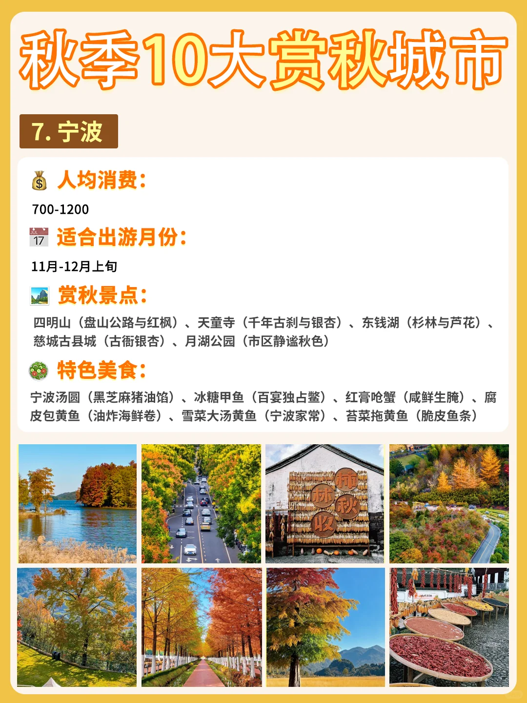 最适配江浙沪宝宝体质的赏秋城市合集来啦❗