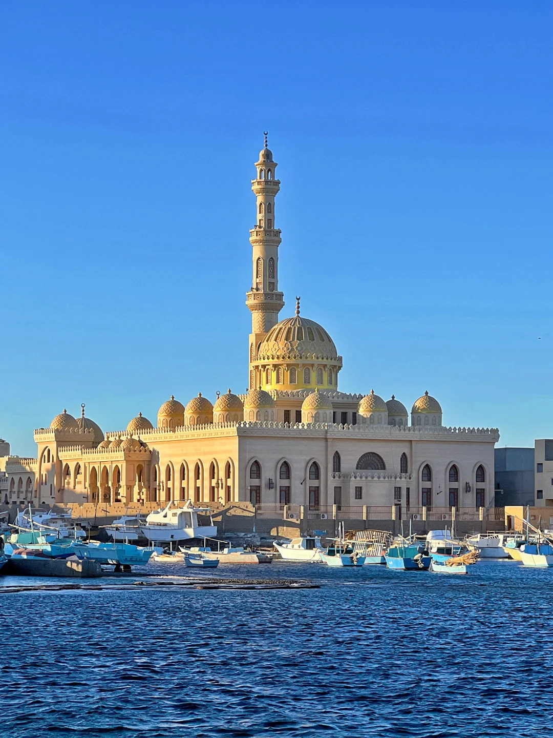 不劝退!去了5次埃及,我来告诉你真实的埃及