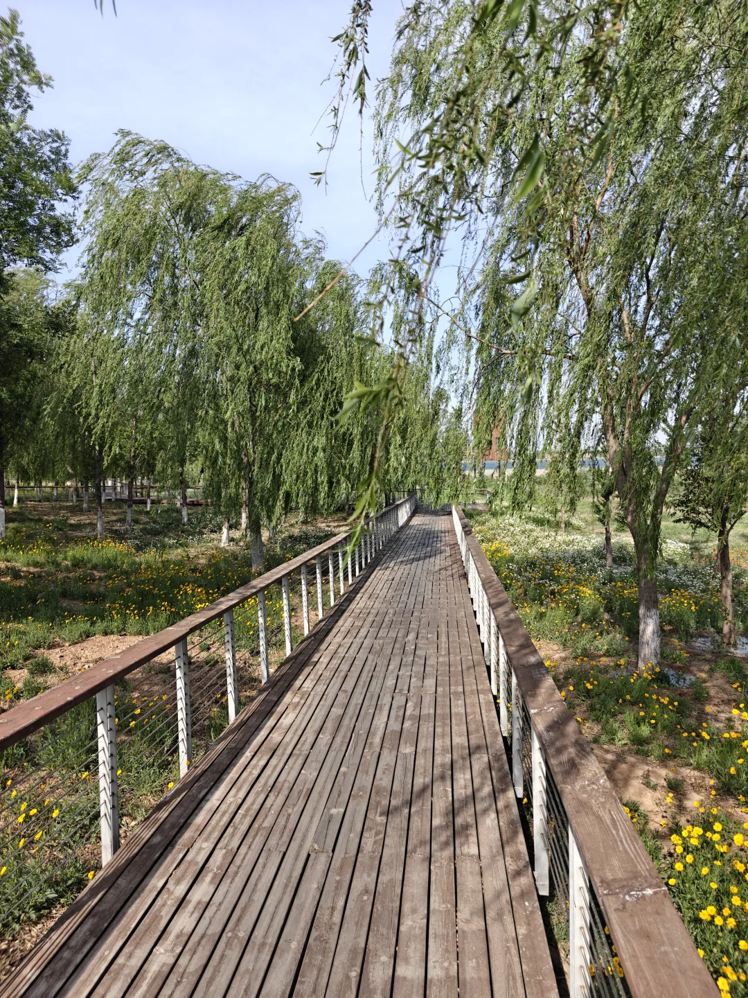 邯郸行惊喜之溢泉湖19.6km环湖🚴🏻‍♂