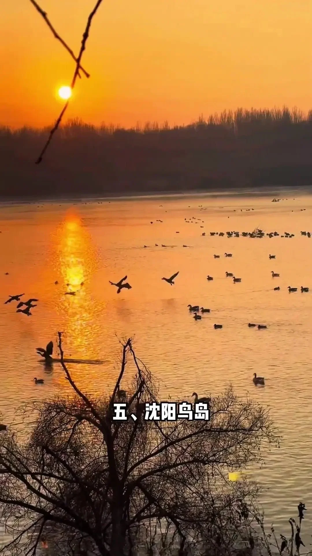 沈阳必打卡的九大景点！！