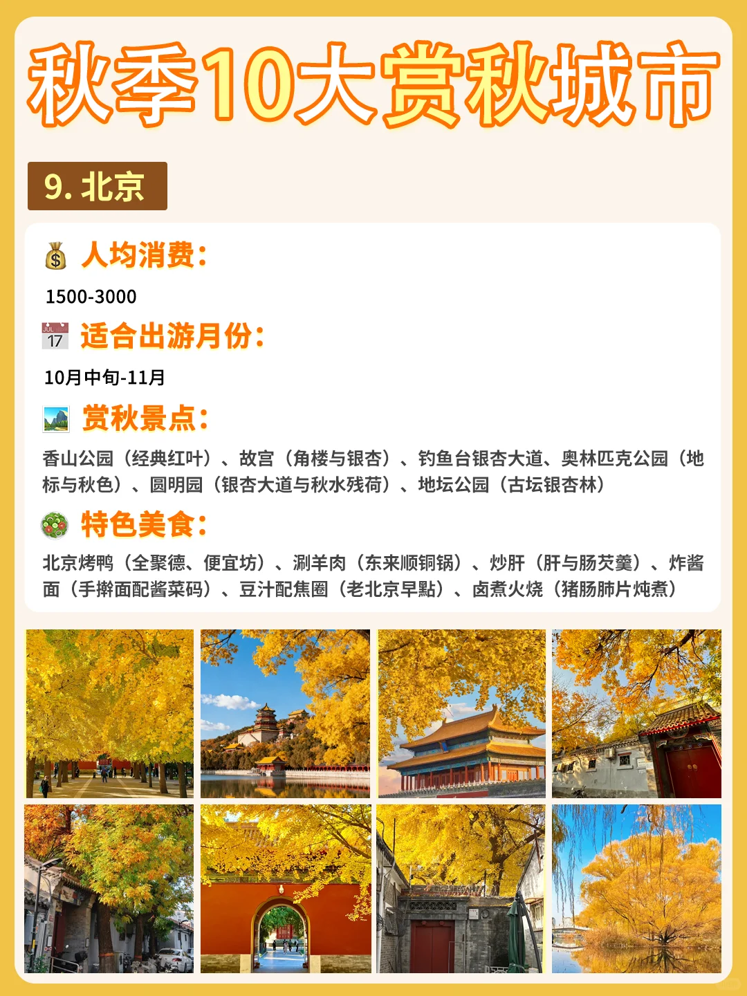 最适配江浙沪宝宝体质的赏秋城市合集来啦❗