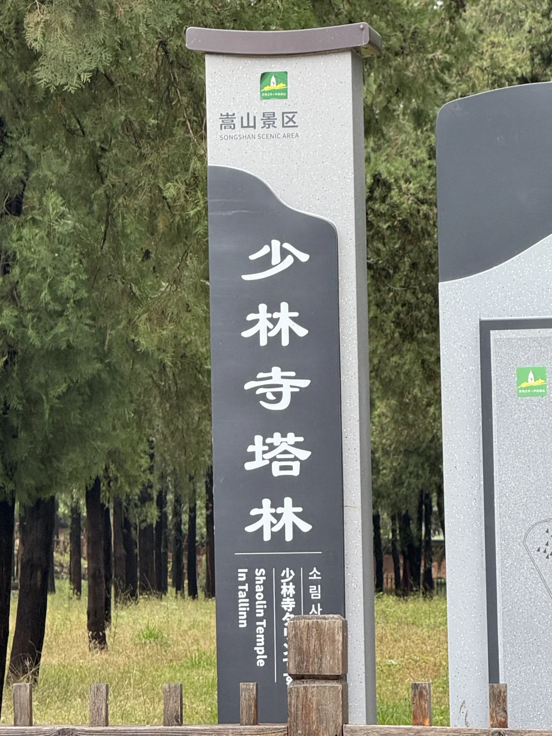 嵩山少林红叶🍁 太美啦！