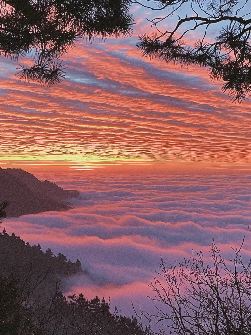 🌅日出云海，仙境之旅🌄