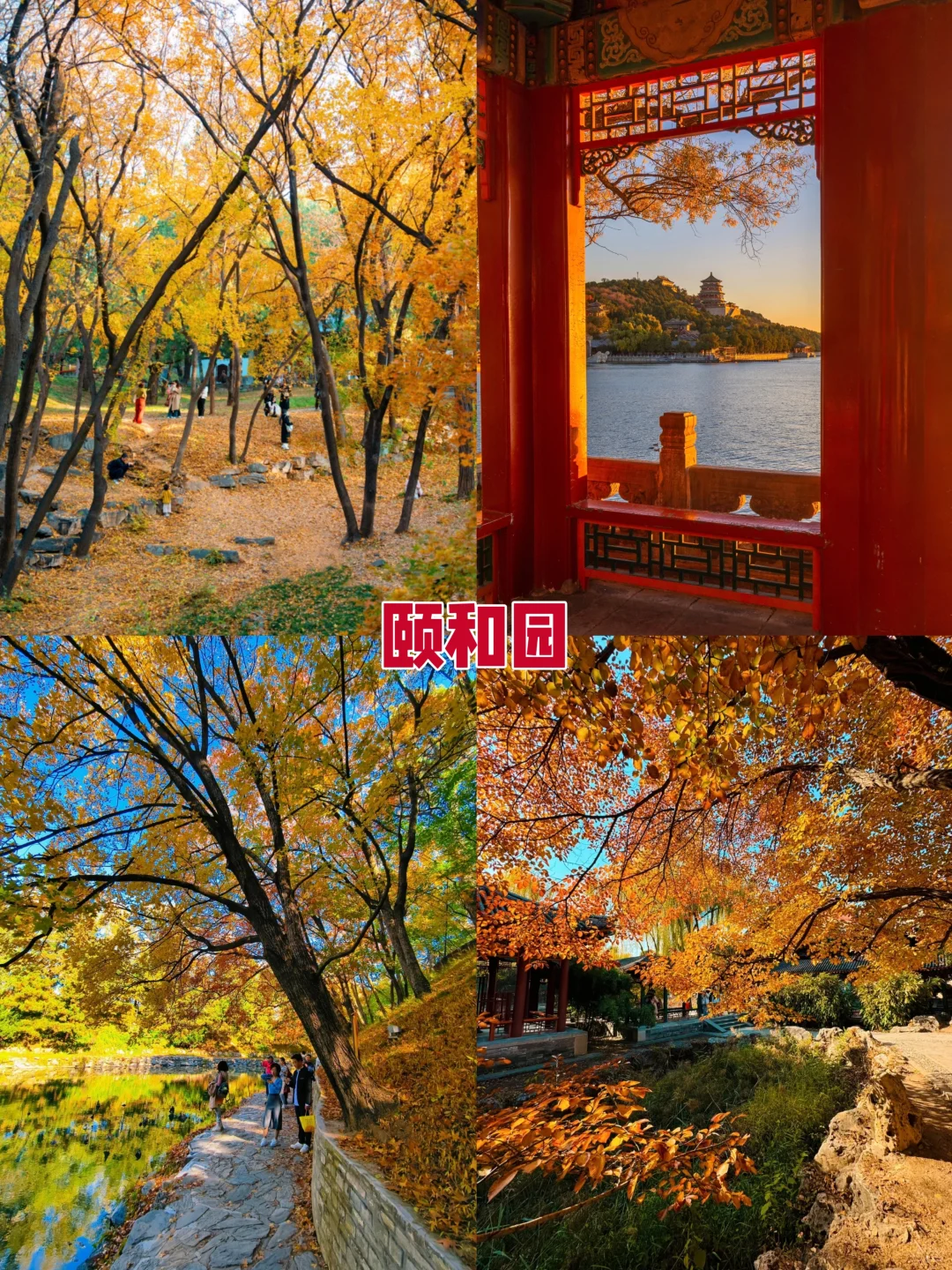2025北京赏秋8大打卡地！