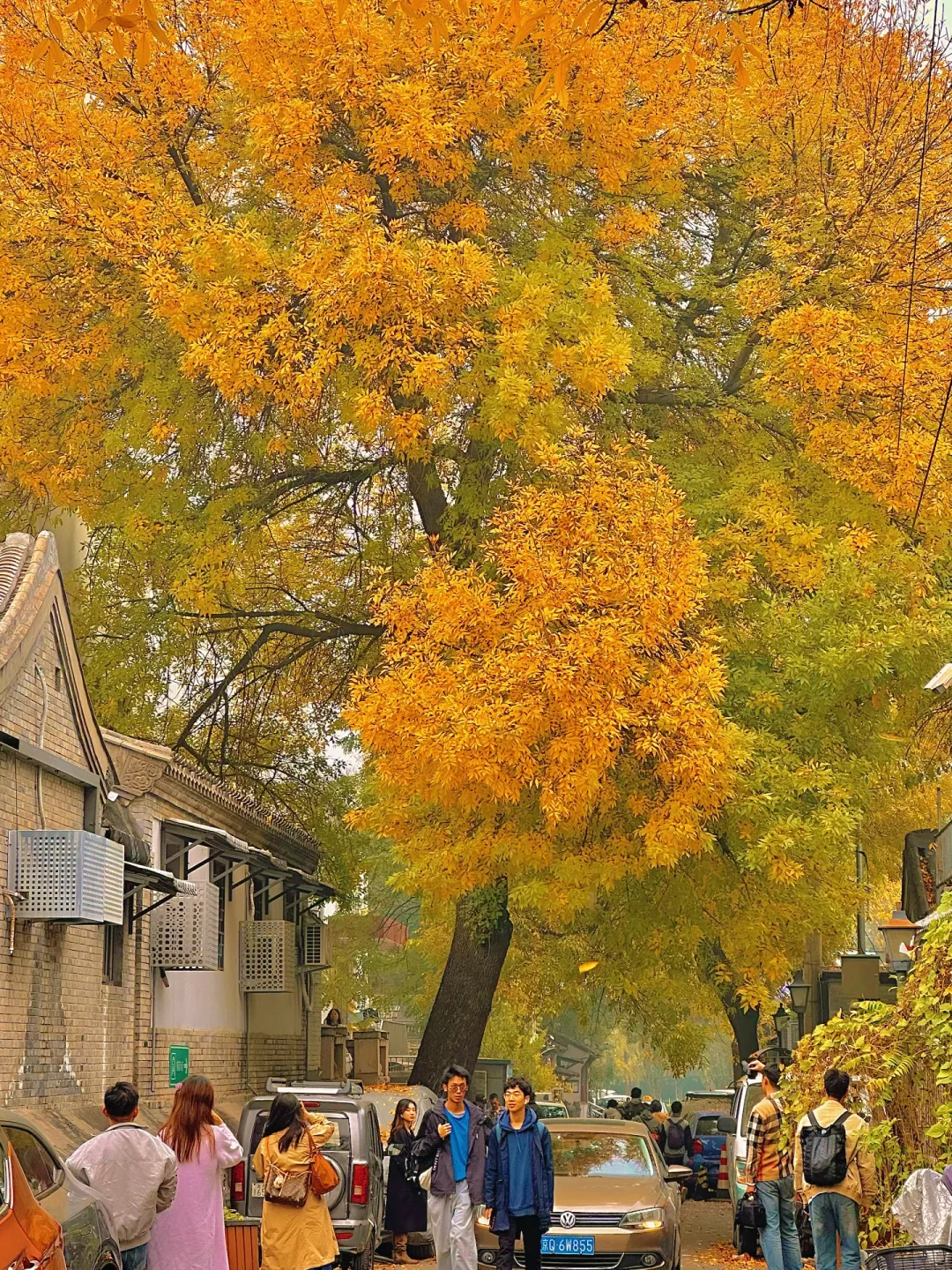北平之秋已上线！北京必逛的8️⃣条赏秋路线！