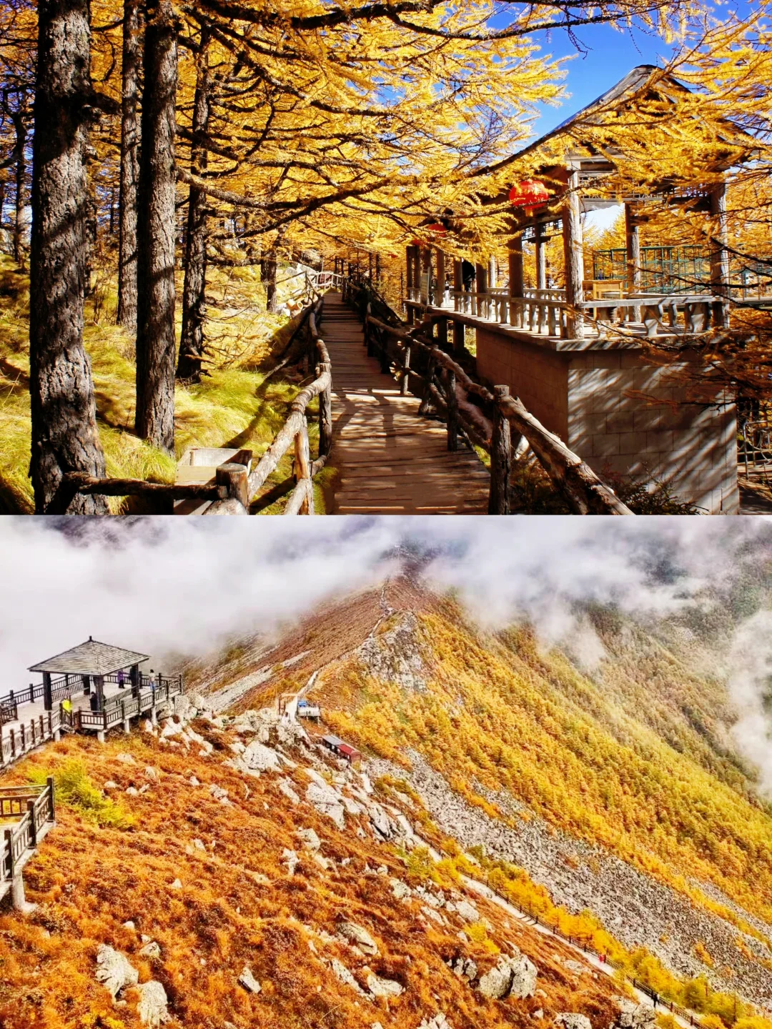 10月太白山赏秋天花板🍁景区1日游玩指南