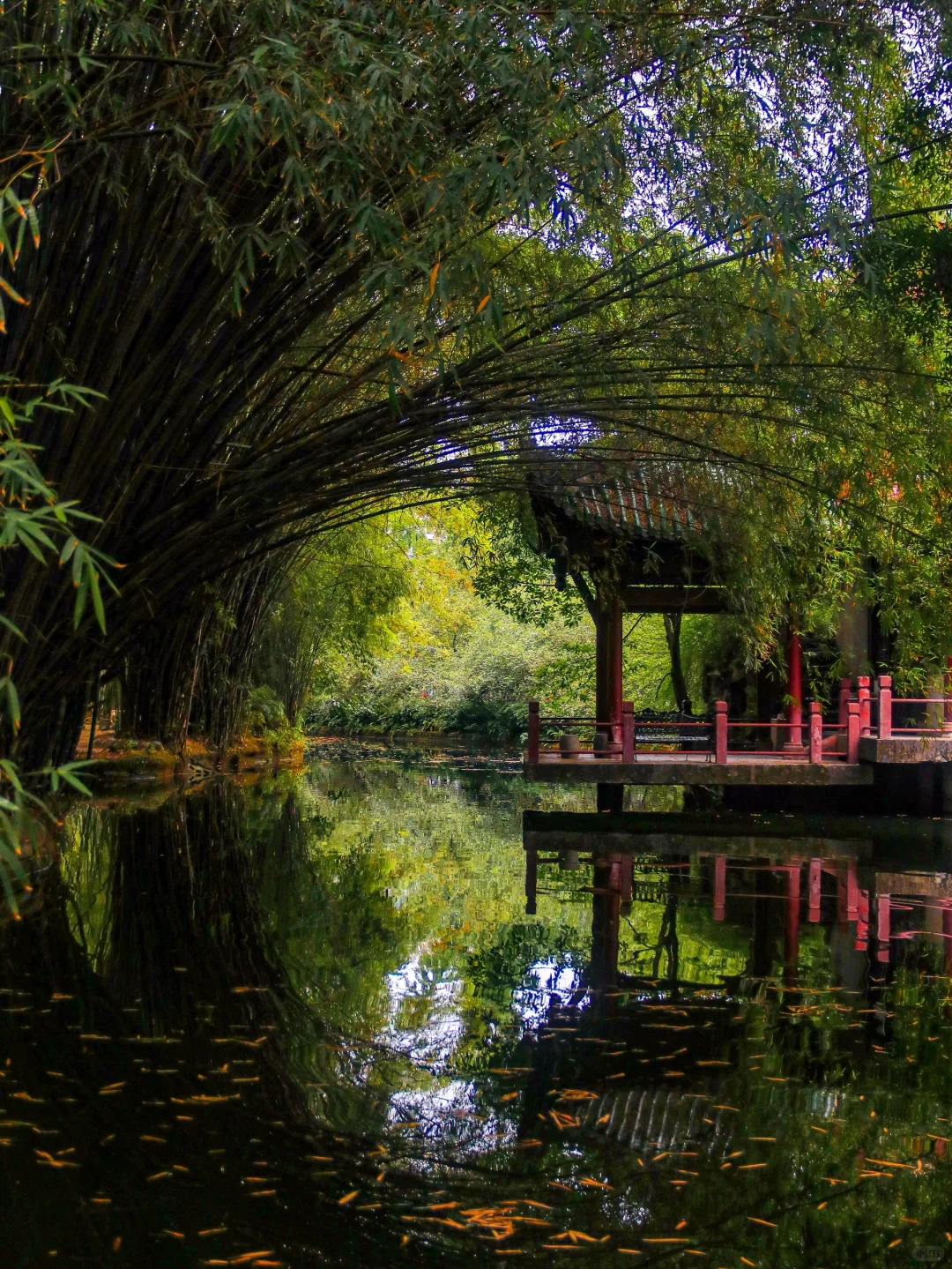 本来以为春熙路已经很好逛了。。。。。。。