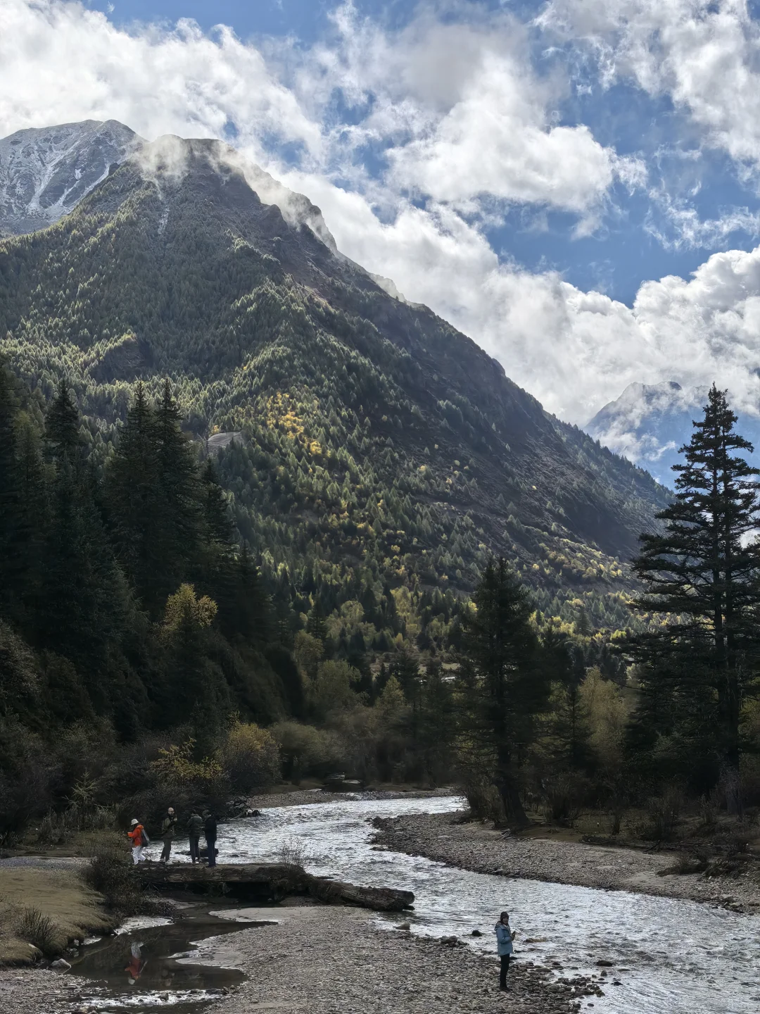 你们猜这是哪儿？
