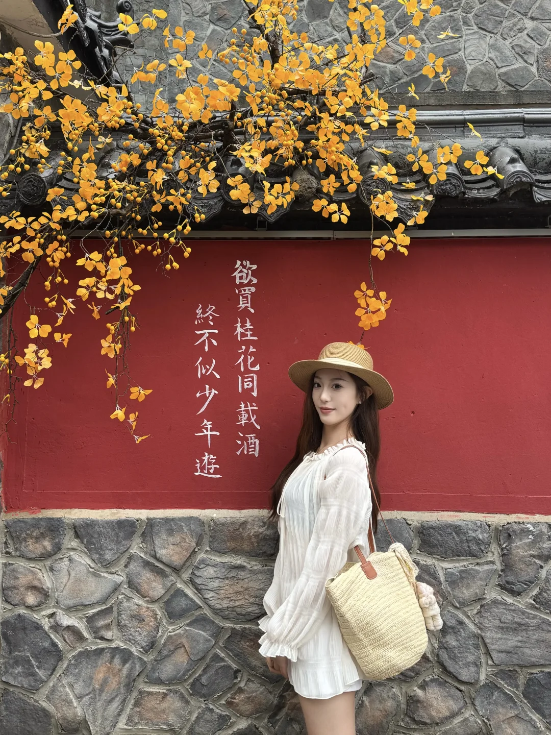 📍淄博红叶柿岩