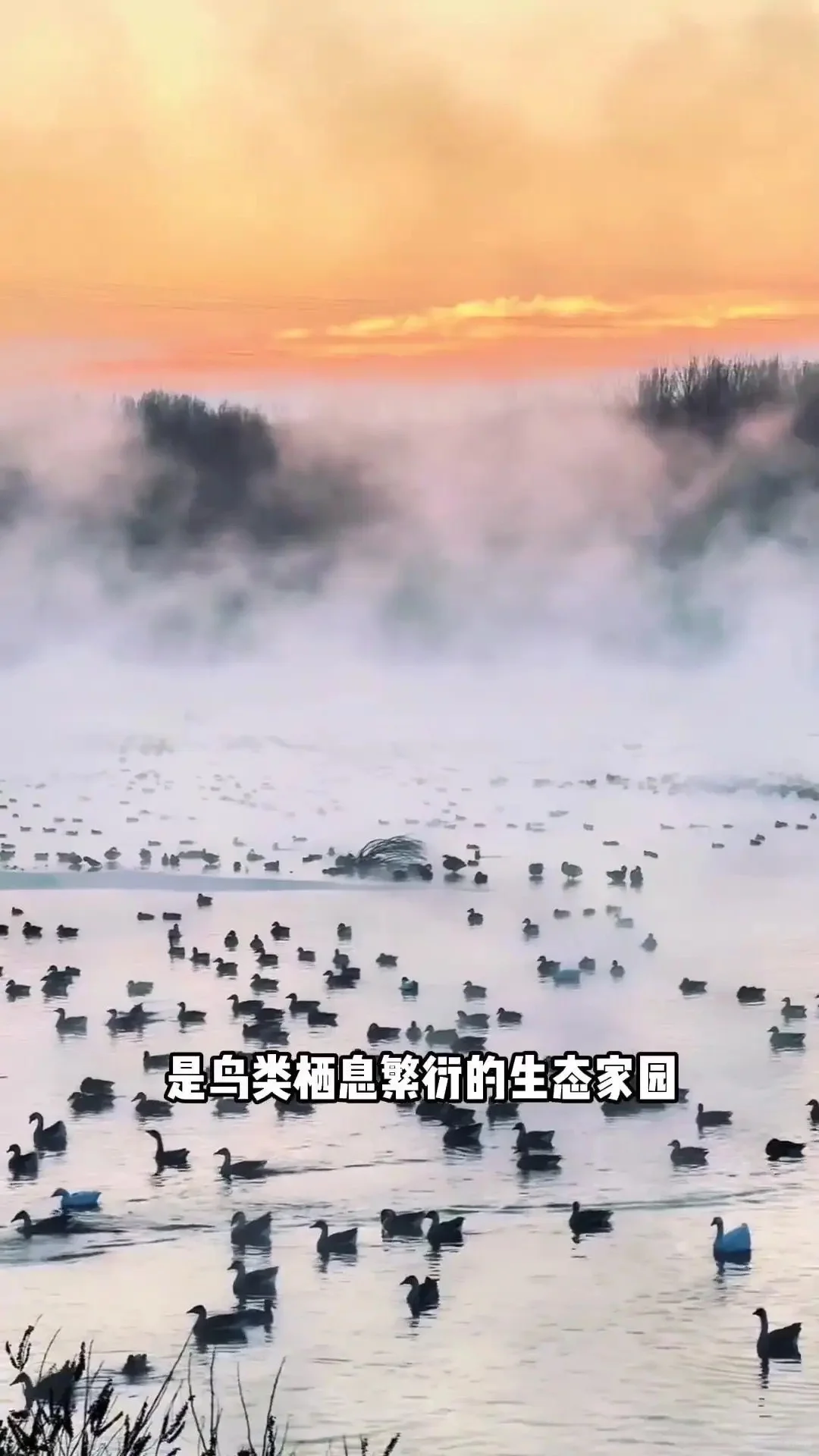 沈阳必打卡的九大景点！！