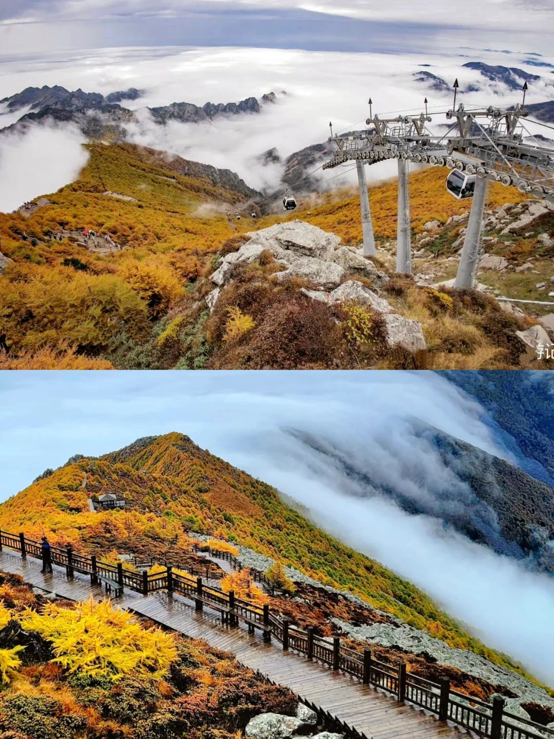 10月太白山赏秋天花板🍁景区1日游玩指南