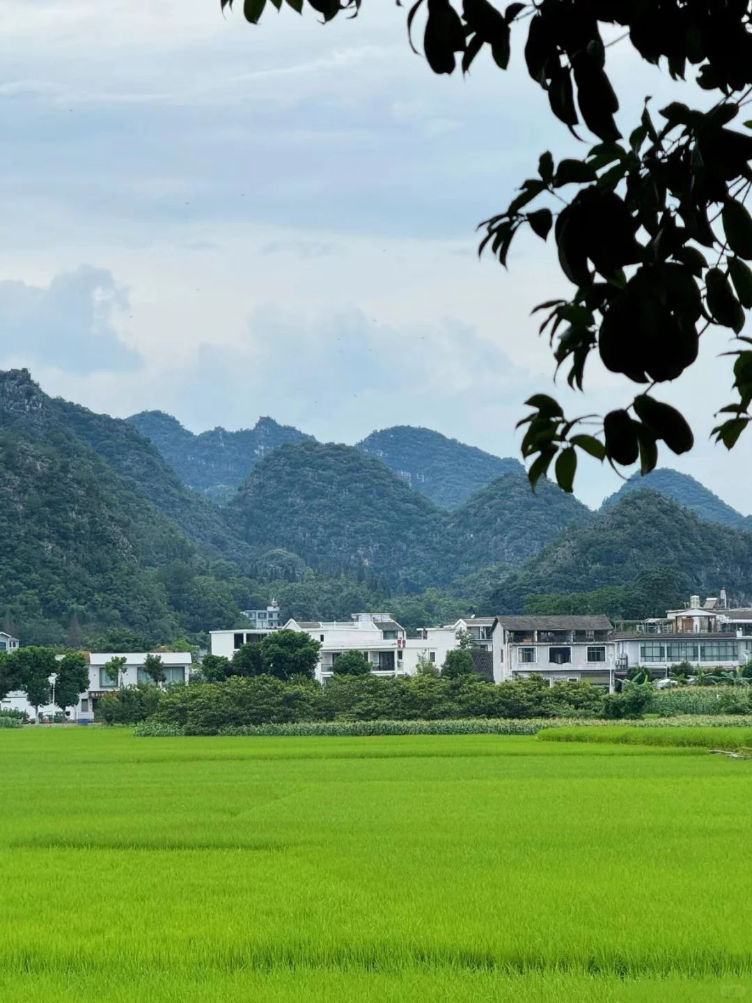 今年暑假，只想带娃去一个地方：贵州兴义