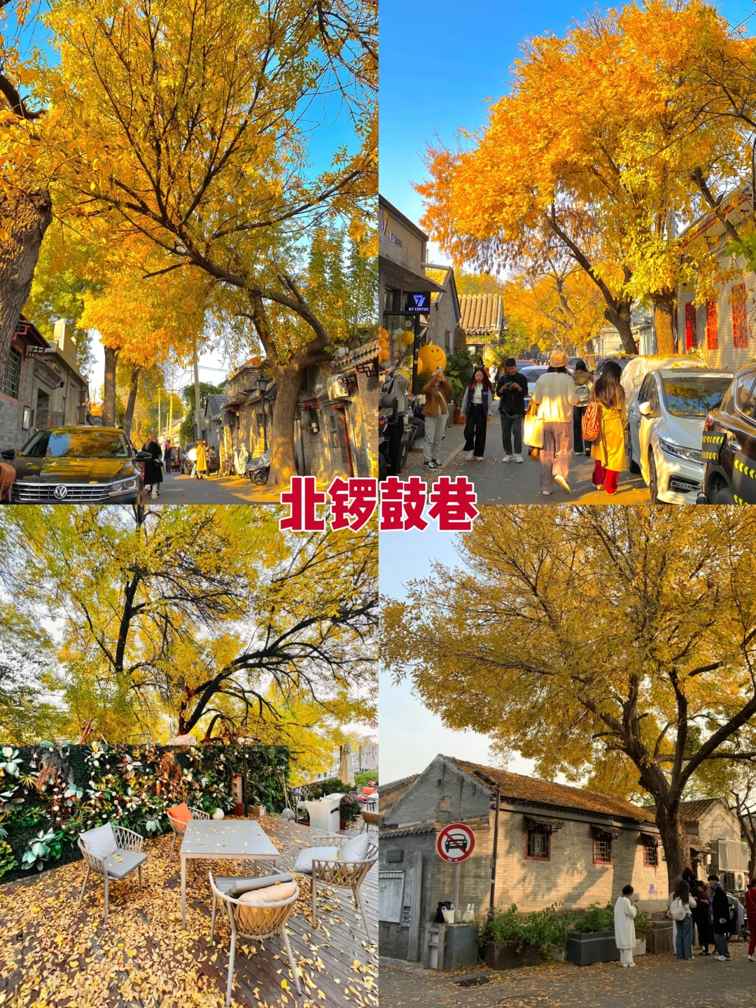 2025北京赏秋8大打卡地！