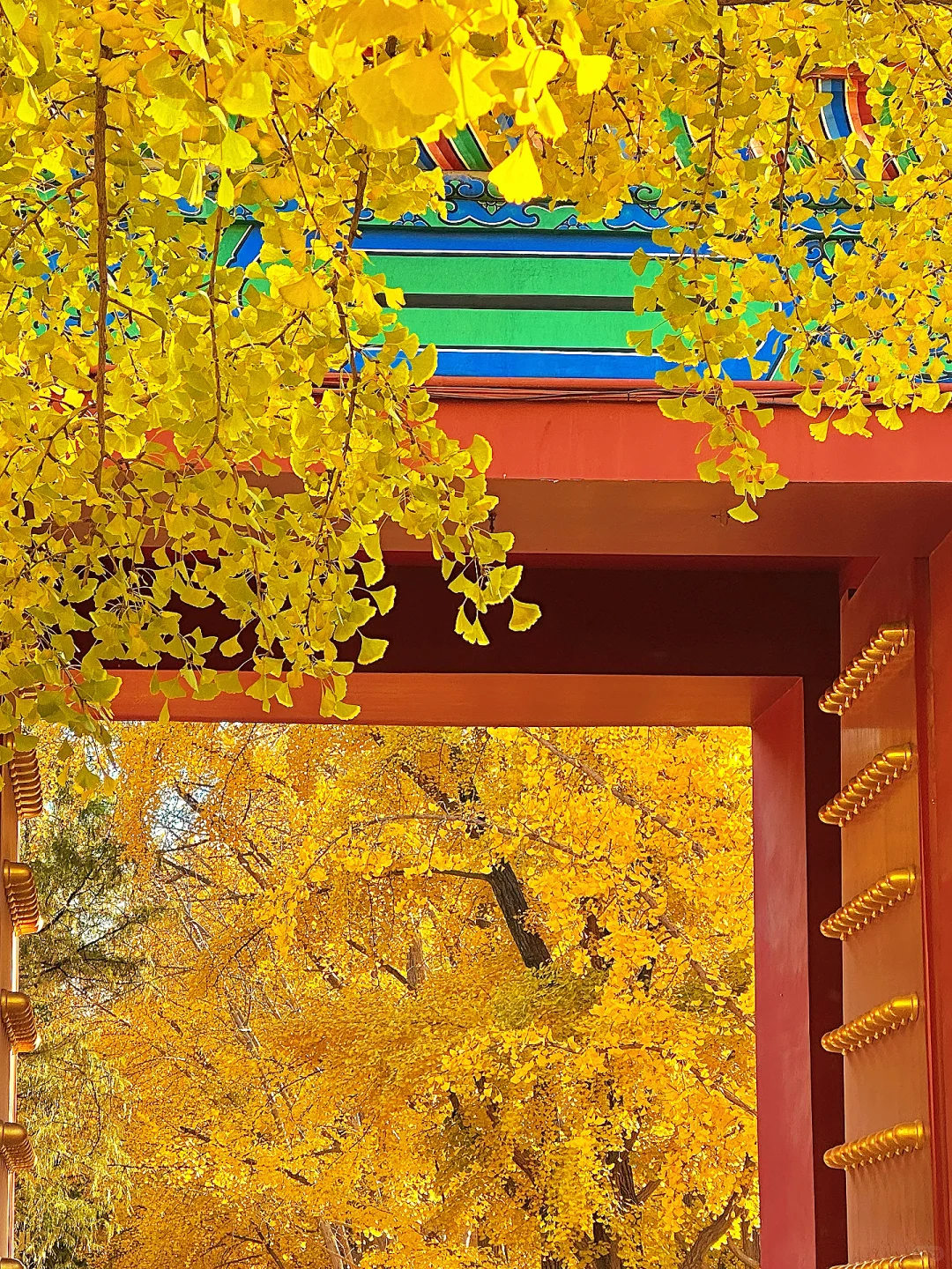 北平之秋已上线！北京必逛的8️⃣条赏秋路线！