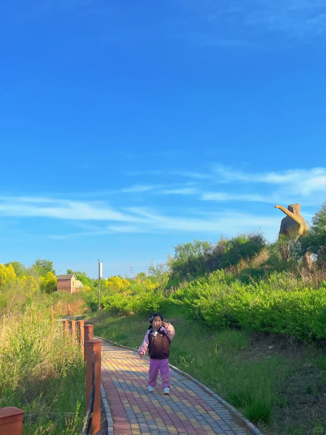 每周一公园免费版❗青岛适合亲子的40个公园