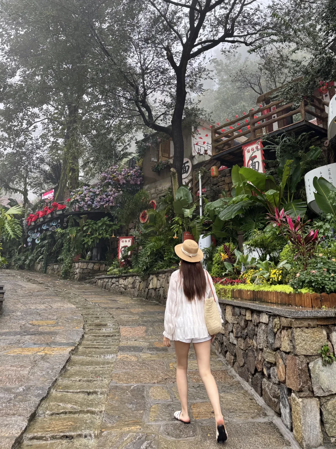 📍淄博红叶柿岩