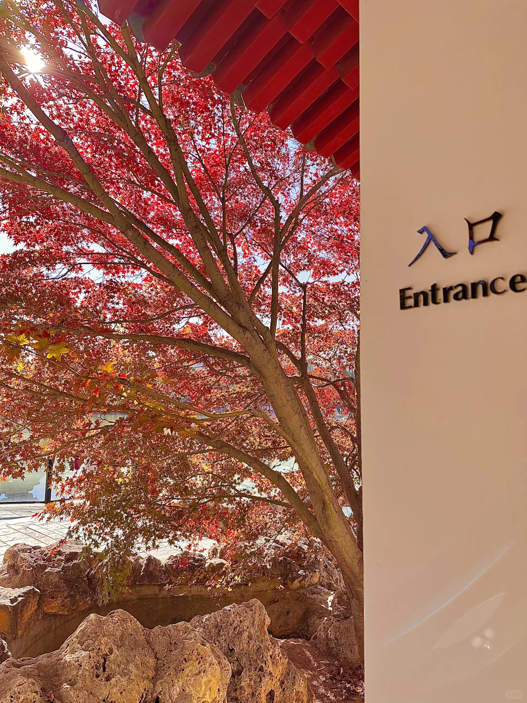 北平之秋已上线！北京必逛的8️⃣条赏秋路线！