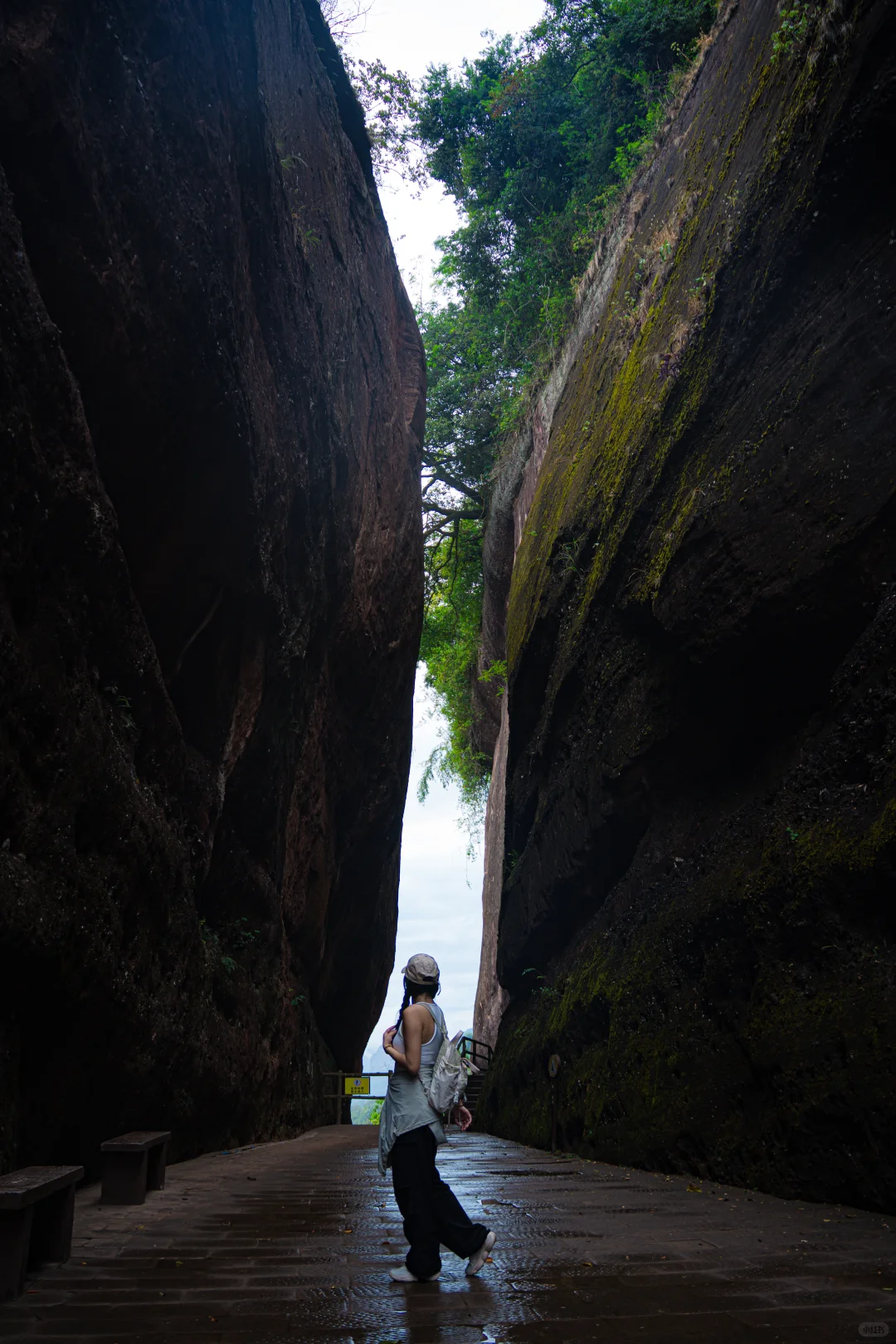 😭为什么没人告诉我广东还有这么绝的地方