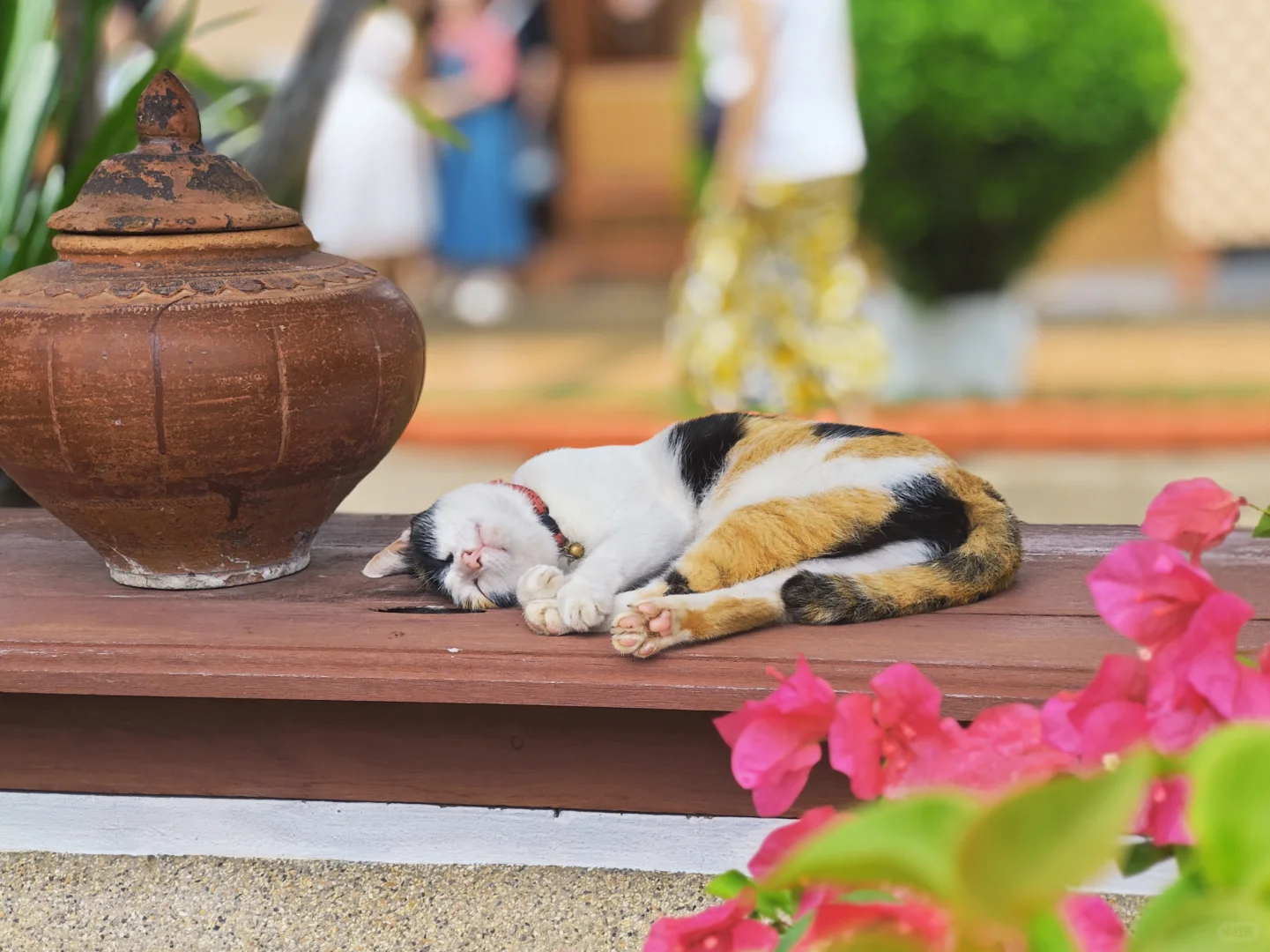 糟糕，是假期戒断反应😷