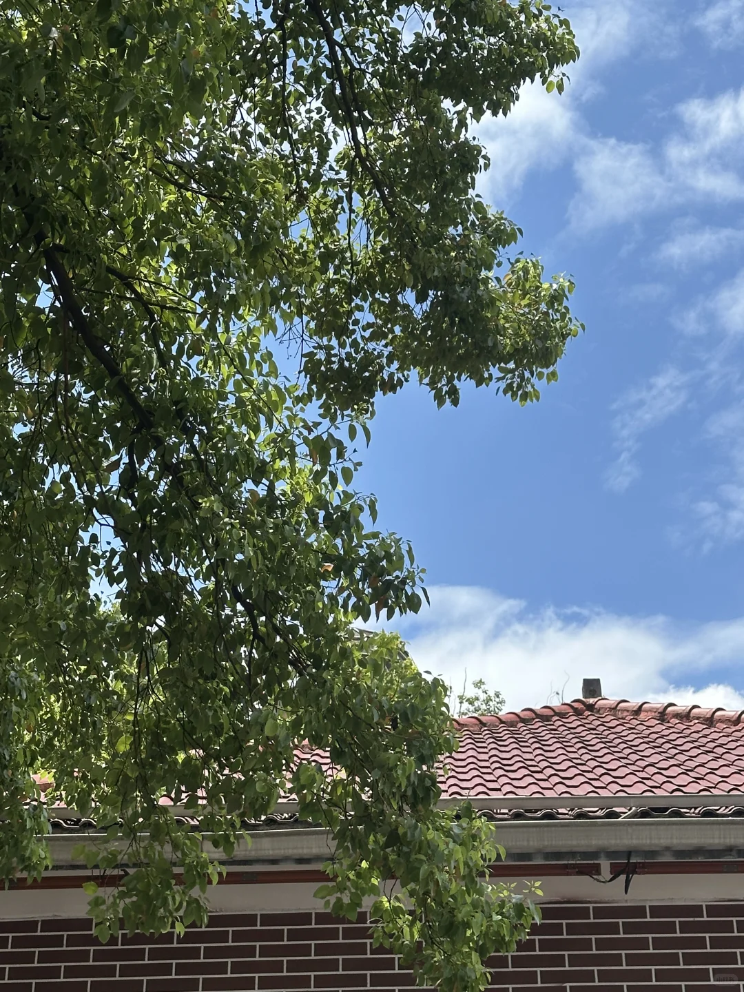 一个人旅行真的太棒了！