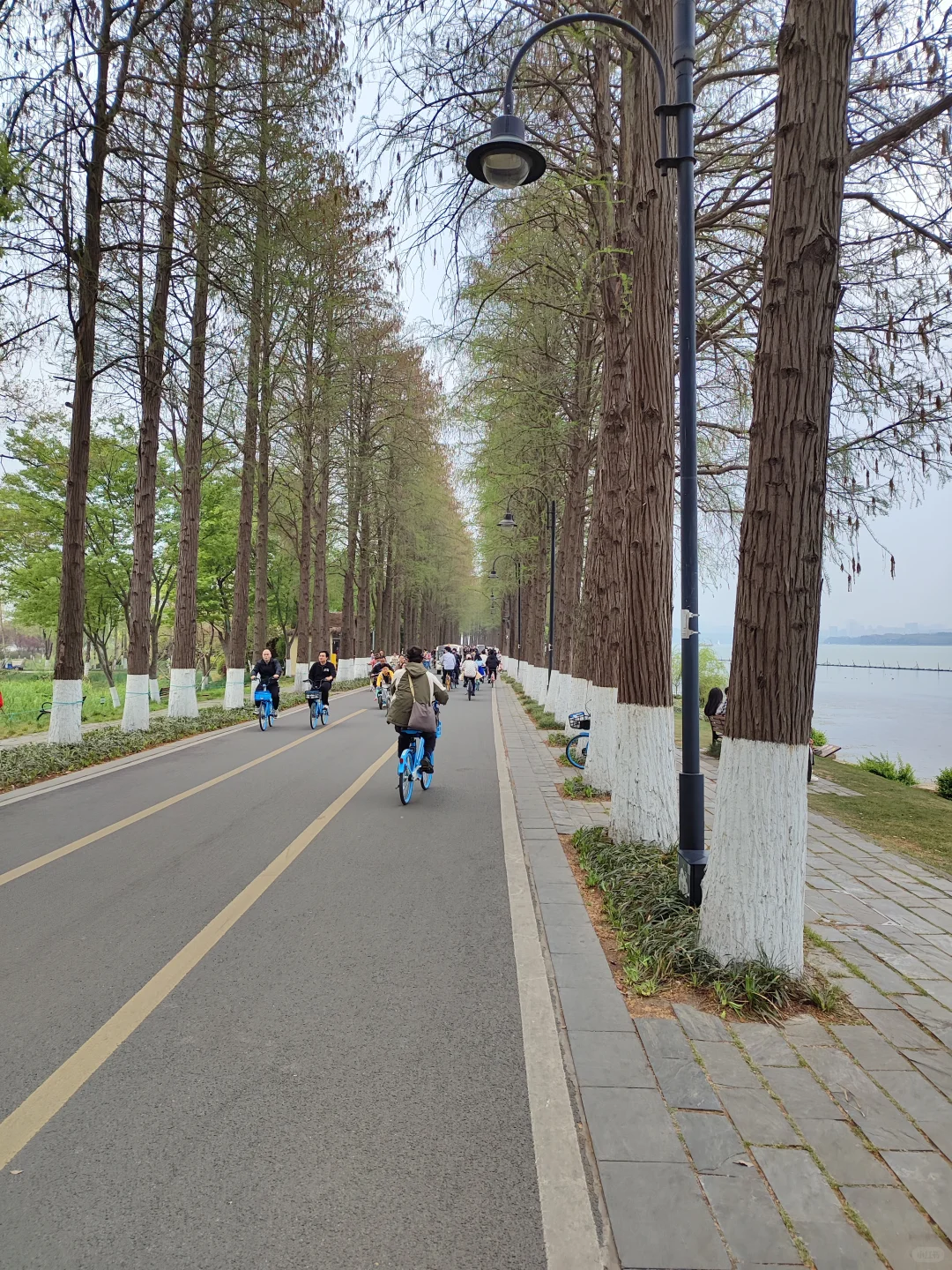 武汉东湖游玩攻略