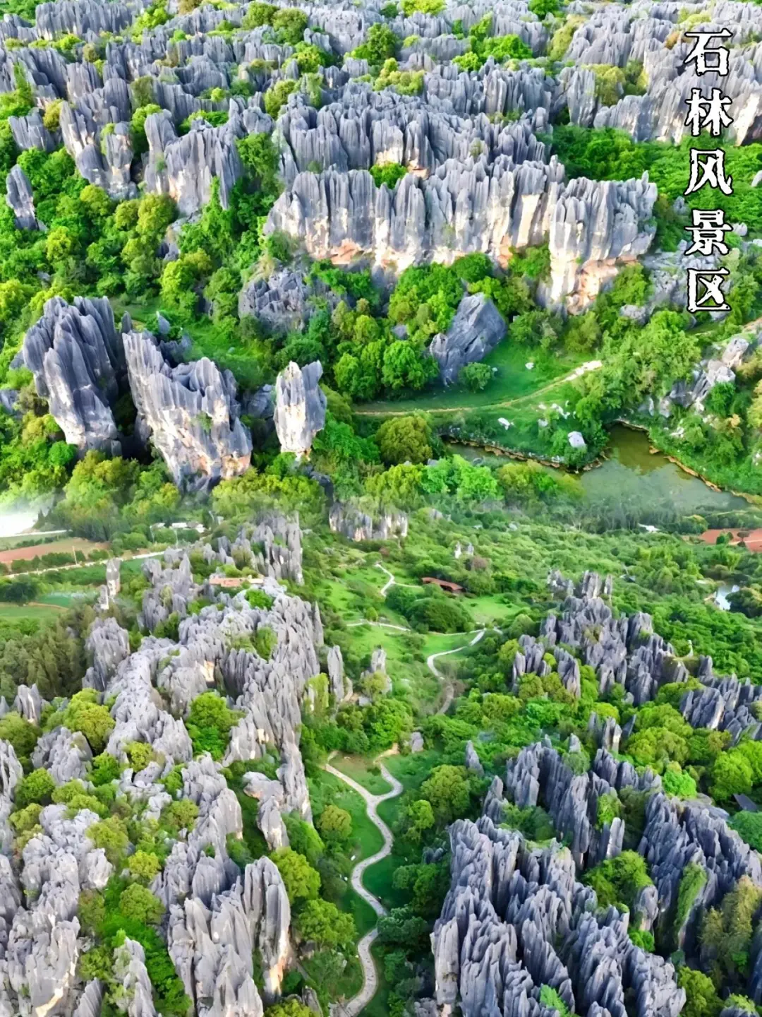 不敢相信❗去云南跟小团💯纯玩游太省心了