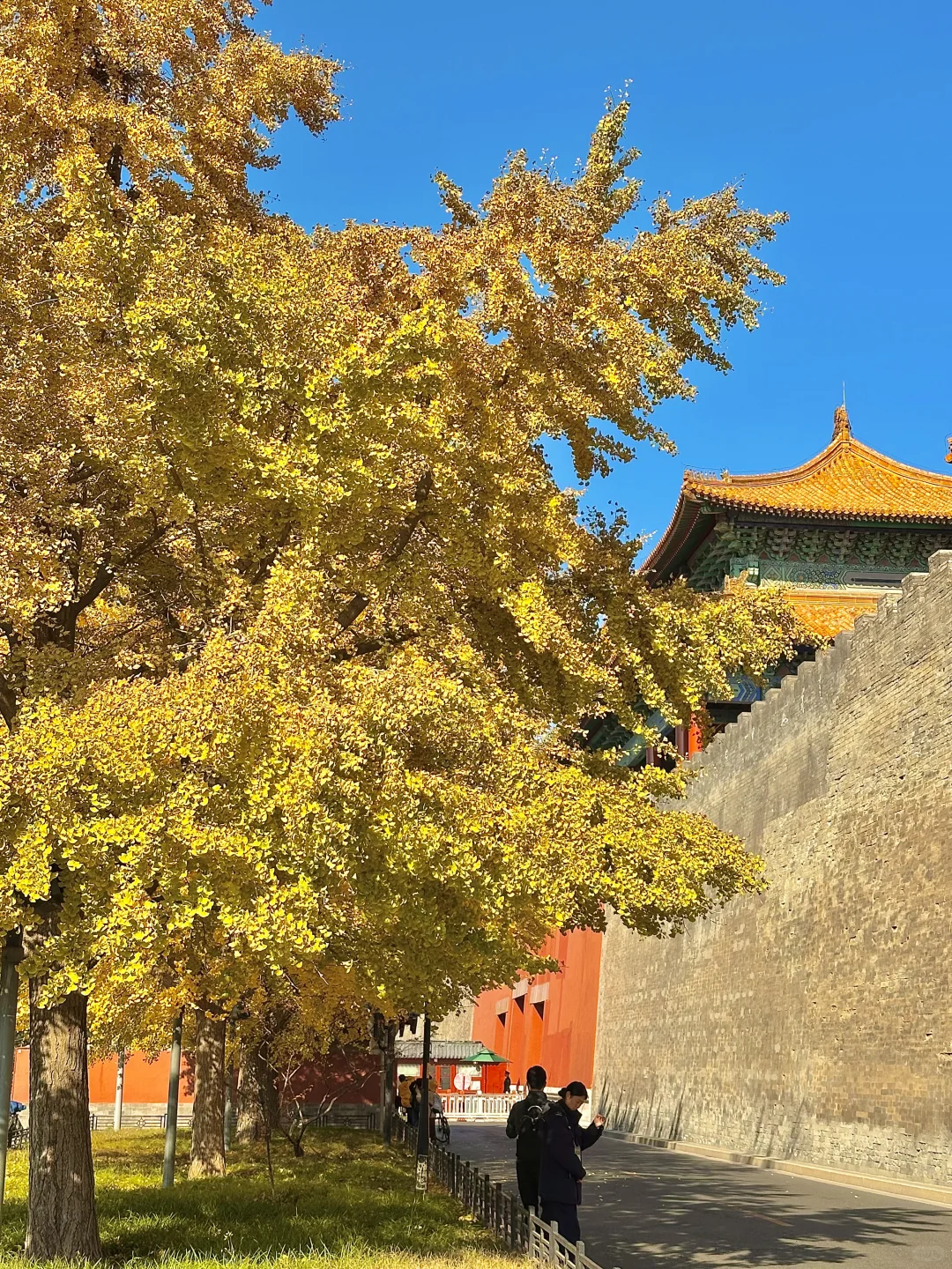 北平之秋已上线！北京必逛的8️⃣条赏秋路线！