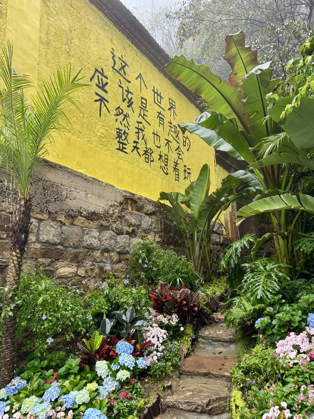 📍淄博红叶柿岩